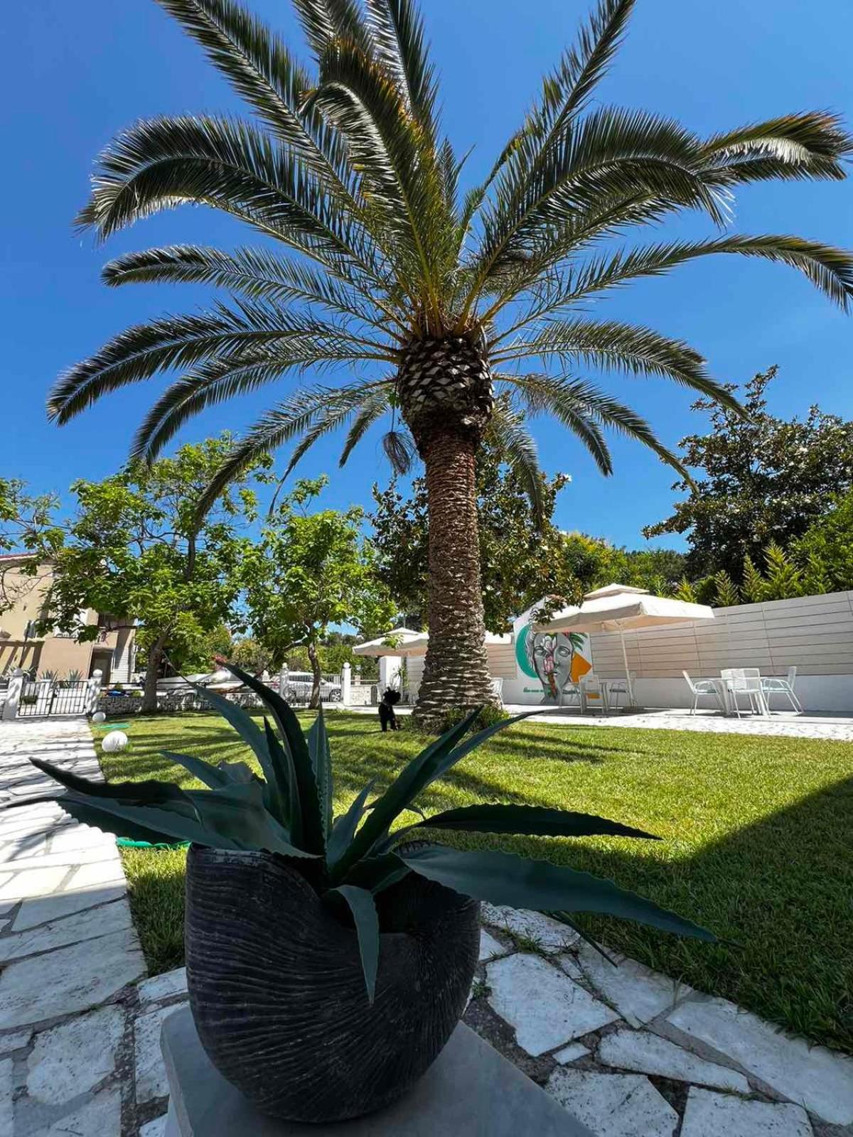 Hotel Proteas Ormos Prinou (Thasos) Exterior foto